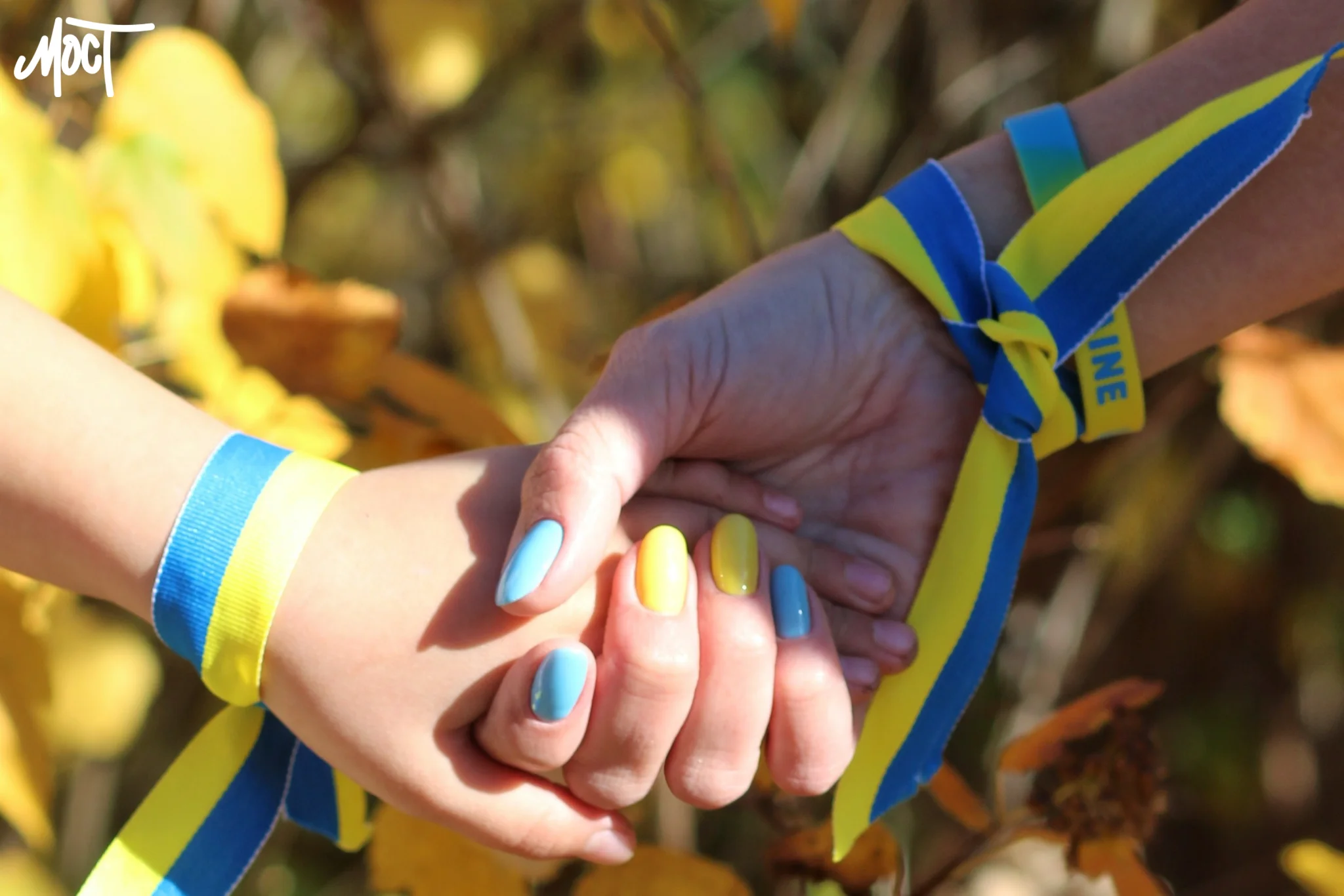 Херсонщина отримає Проєктний офіс для відновлення людського потенціалу
