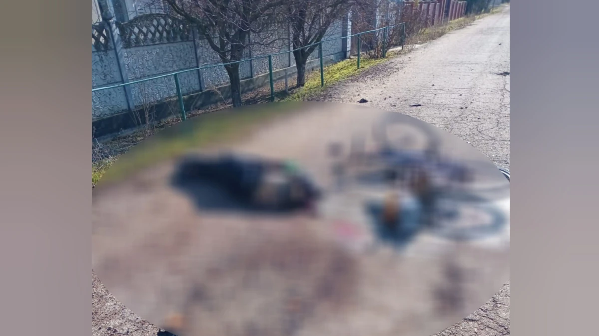 Загибель жительки Білозерської громади від російського дрона