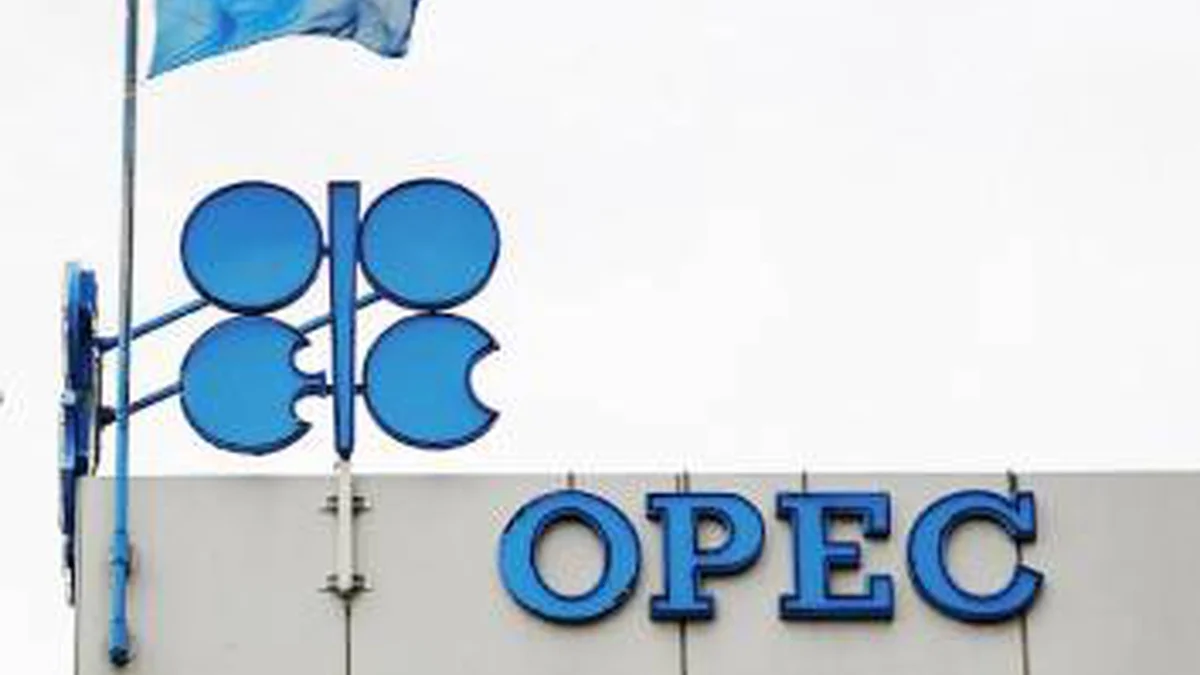 ОПЕК+ збільшила видобуток нафти: що це означає для Херсона