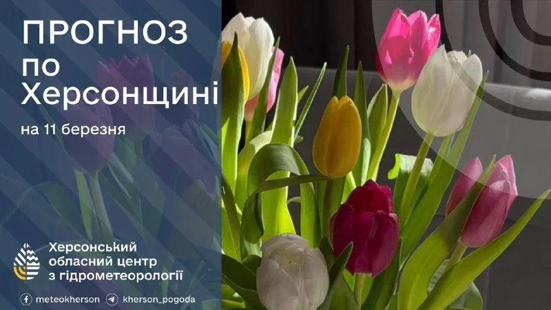 Тепла погода очікується на Херсонщині 11 березня: прогноз