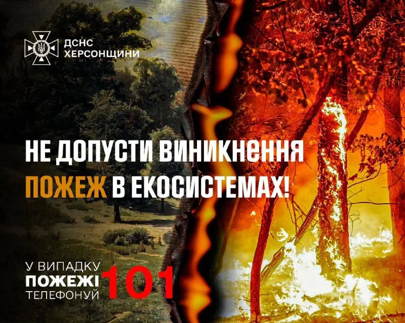 Рятувальники Херсонщини нагадують: за пожежі в екосистемах — відповідальність