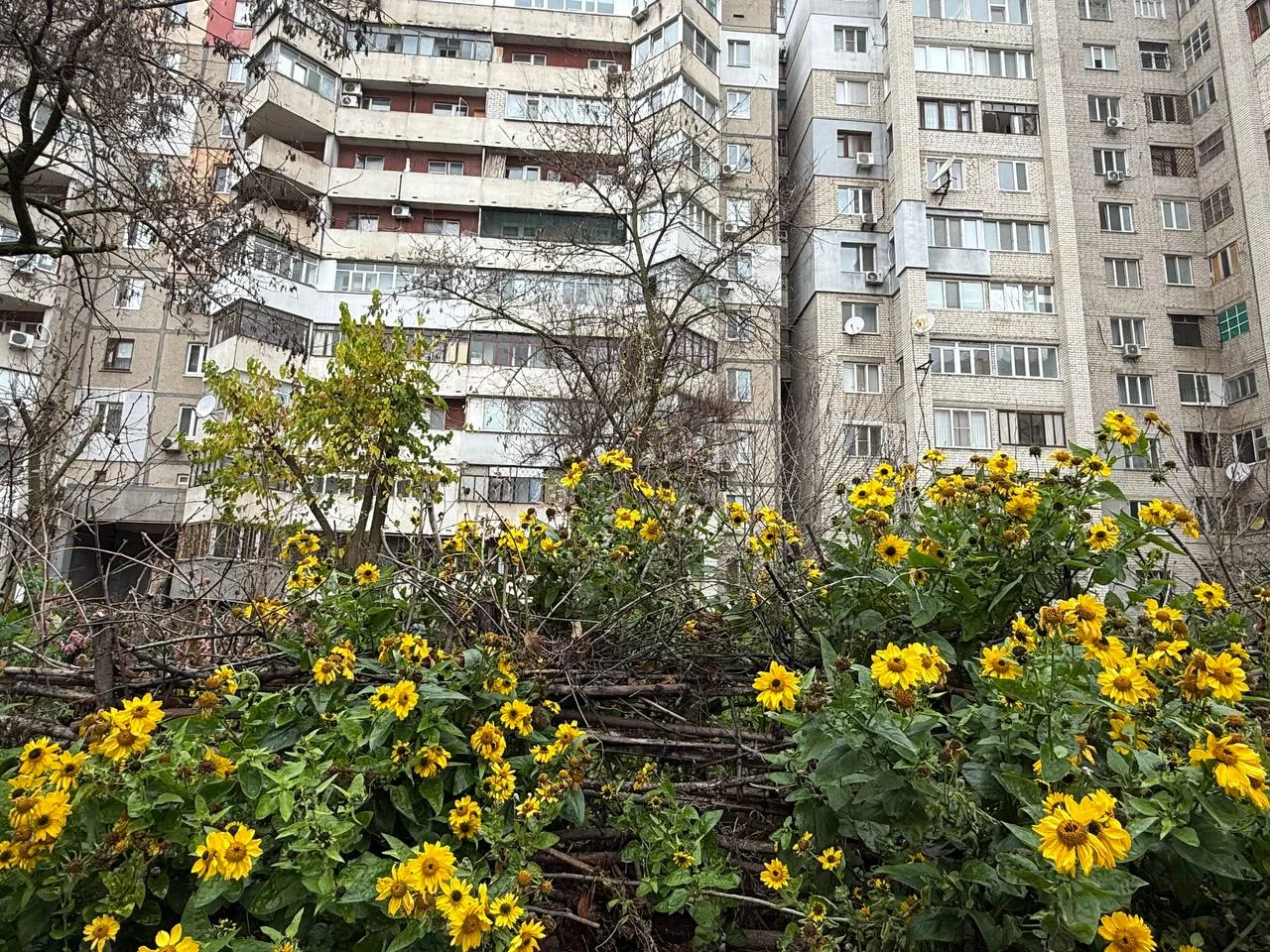 Настрої херсонців: очікування перемоги та євроінтеграції