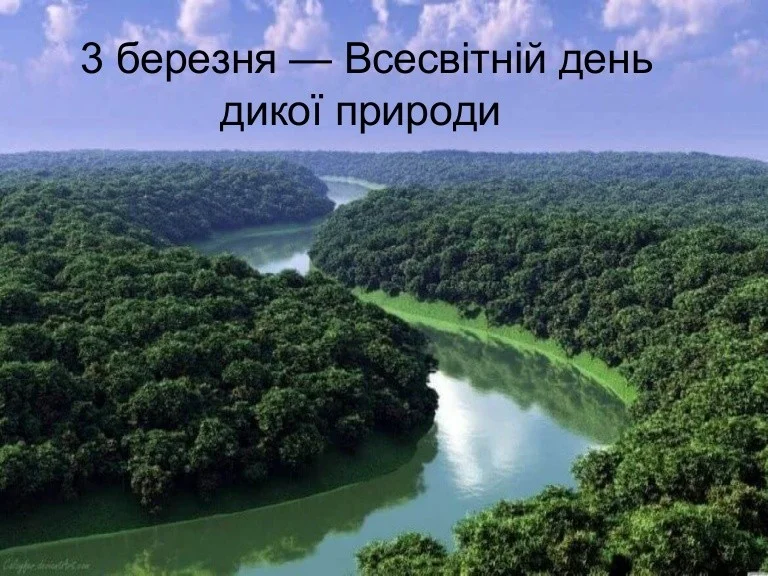 Всесвітній день дикої природи: Цінні рослини Херсонщини