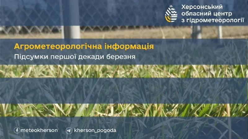 Озимі культури на Херсонщині відновили вегетацію раніше норми