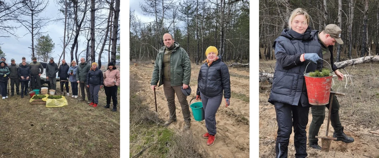 Херсонщина: Відновлення лісів розпочалося попри значні втрати та мінування