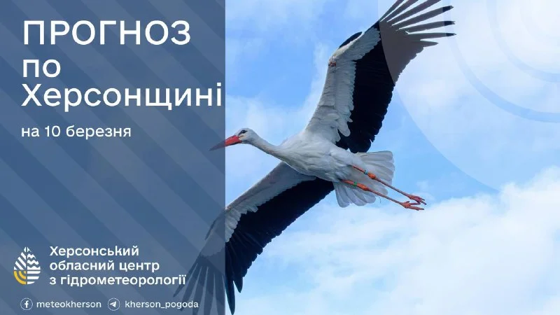 Прогноз погоди на 10 березня 2026 року по Херсонщині: