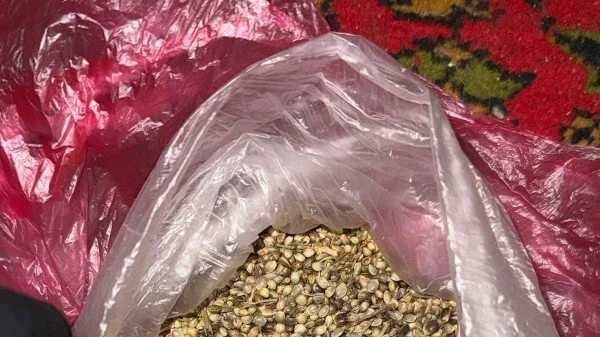У Херсоні викрили групу збувачів канабісу з доходом у тисячі гривень щодня