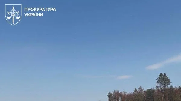 Депутат та директор лісгоспу на Львівщині організував схему на 103 млн грн: викрито незаконну порубку