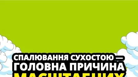 Випалювання трави: Небезпечна традиція з руйнівними наслідками для природи та людей