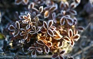 Львів встановив температурний рекорд: 12 квітня було -4,8°С