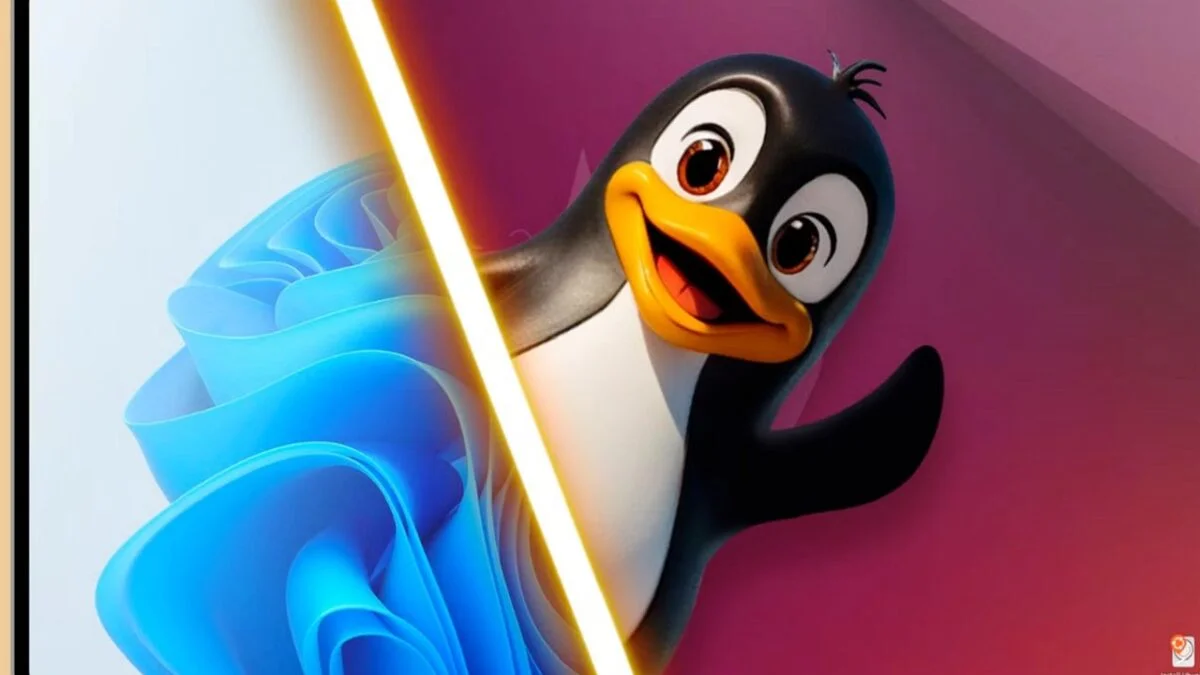 Ноутбуки Framework з Linux продаються краще, ніж з Windows