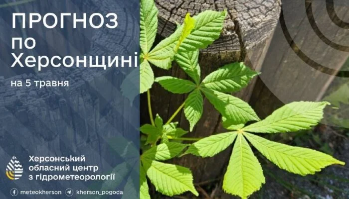 Заморозки на ґрунті та до +25° тепла: погода на 5 травня на Херсонщині