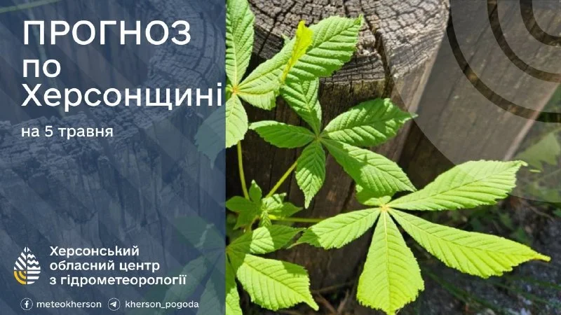 Заморозки на ґрунті та до +25° тепла: погода на 5 травня на Херсонщині