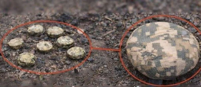 На Острівському шосе виявили міни «Пряник» та «Пелюстка»